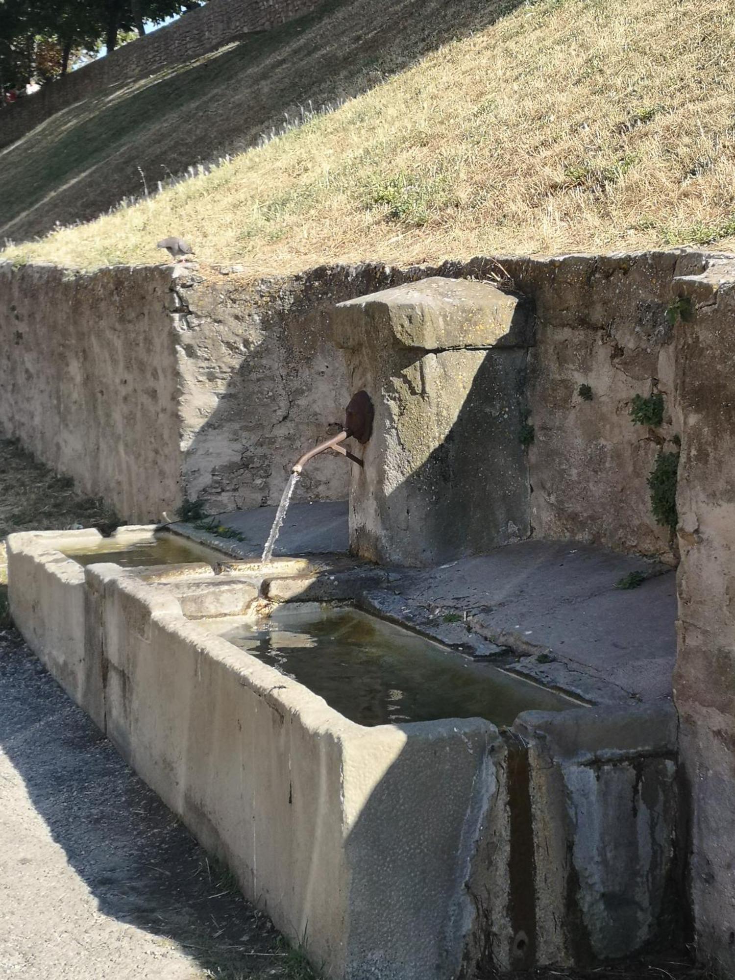 Appartement Chaleureux Au Pied De La Cite Avec Parking Carcassonne Dış mekan fotoğraf